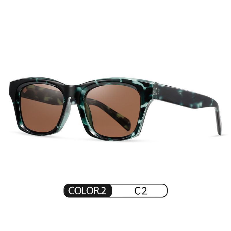 Nuevas gafas de sol polarizadas S31113 Gafas de sol de protección solar al aire libre para damas de alta gama de moda Gafas de sol europeas y americanas