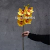 Huilan grandiflora bright yellow