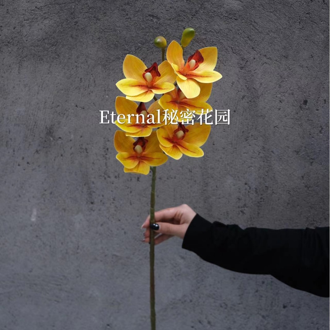 Huilan amarillo brillante