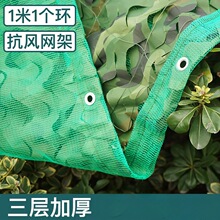 �������ԲʾW���������ꖾW������~���b�W�Gɫ�b����w���ľW��