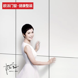 平开门;其他装饰线板;进户门