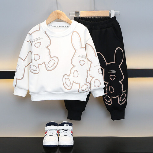 Boys' Big Rabbit Suit  Spring and Autumn New Style Children's Handsome Casual Two-piece Set Western Style Clothes for Small and Medium-sized Children