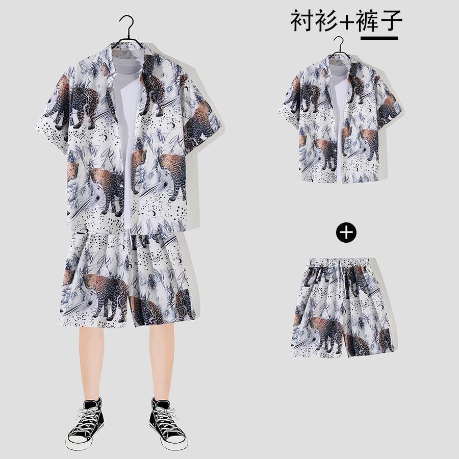 그레이 2139 [세트]