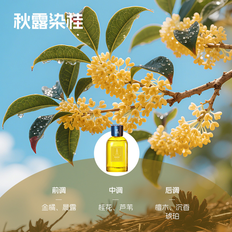 大容量香薰机无火香薰持久留香自动喷雾卧室车载香薰礼品香薰摆件|undefined
