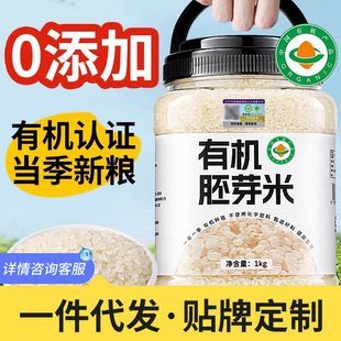�ЙC��ѿ��2025��|���峣2����b��������s�Z�r���ЙC��ѿ��