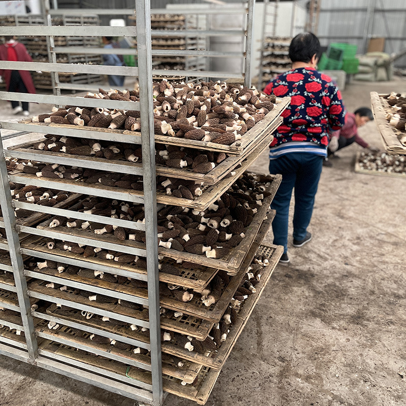 微信图片_202303281653224