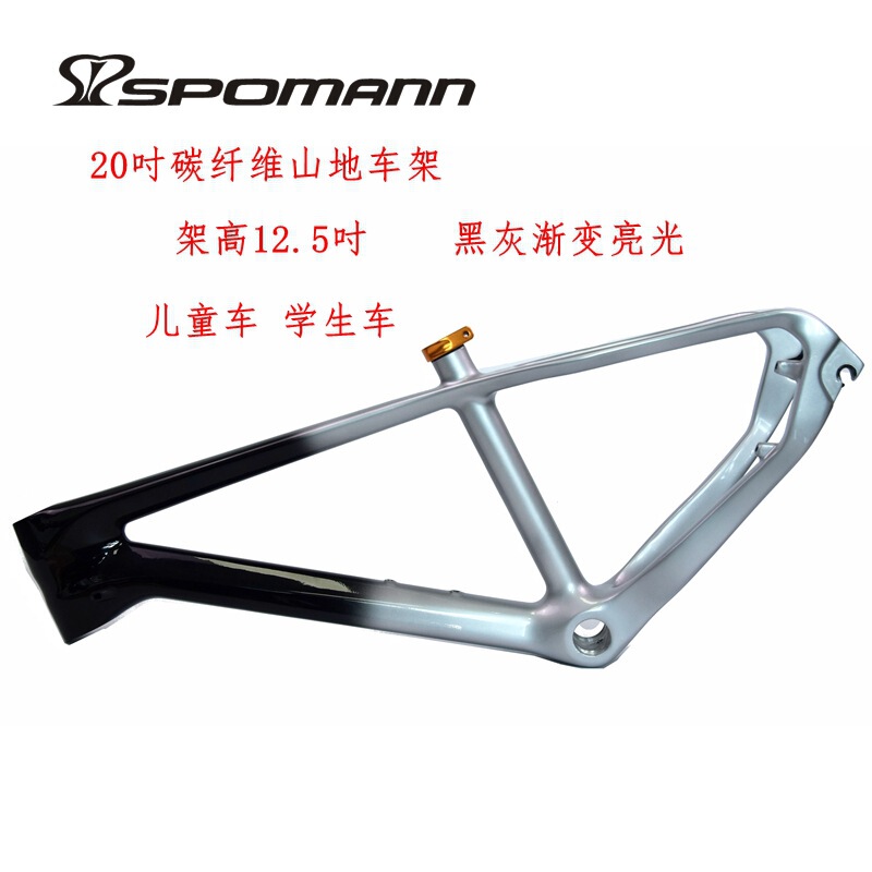 Cross-Border Supply 2025 Ultra-Light T800 Carbon Fiber Mountain Bike Frame Xc Bicycle Frame 20Er Student Bike Kidsren's Bike