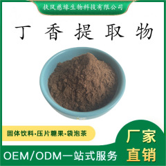 クローブエキス抽出クローブ粉薬食同源工場直販クローブ多糖固体飲料原料
