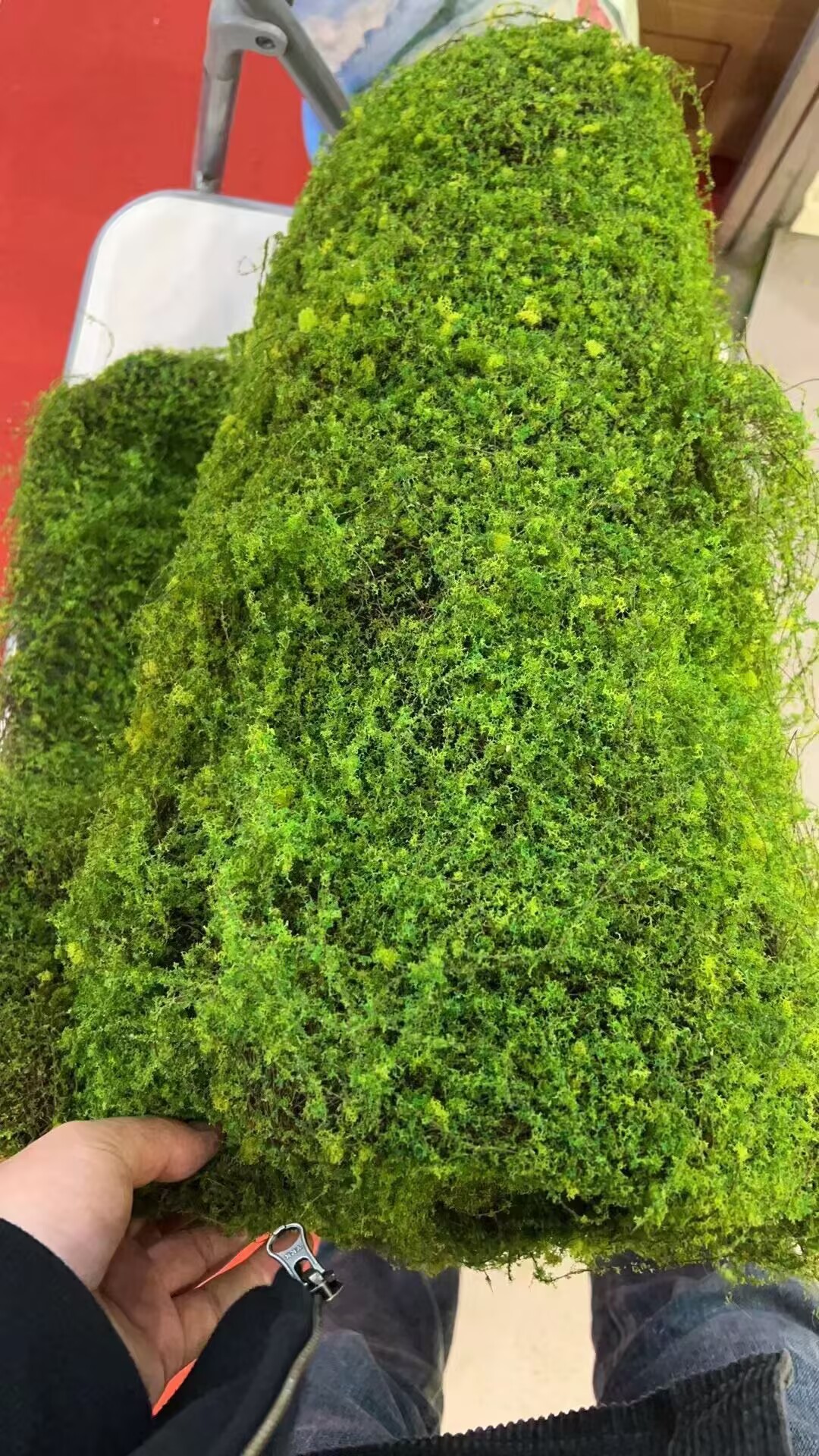 EB1C38B8716B6BE878424B0CAE4BA2