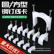 �ᔾ�����늾��̶�ᔾW��ᔿ����ˮ�ࠝ������Ͽ��a����������