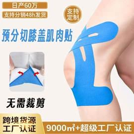 组合运动户外护具;其他救生器材;其他汽车安全