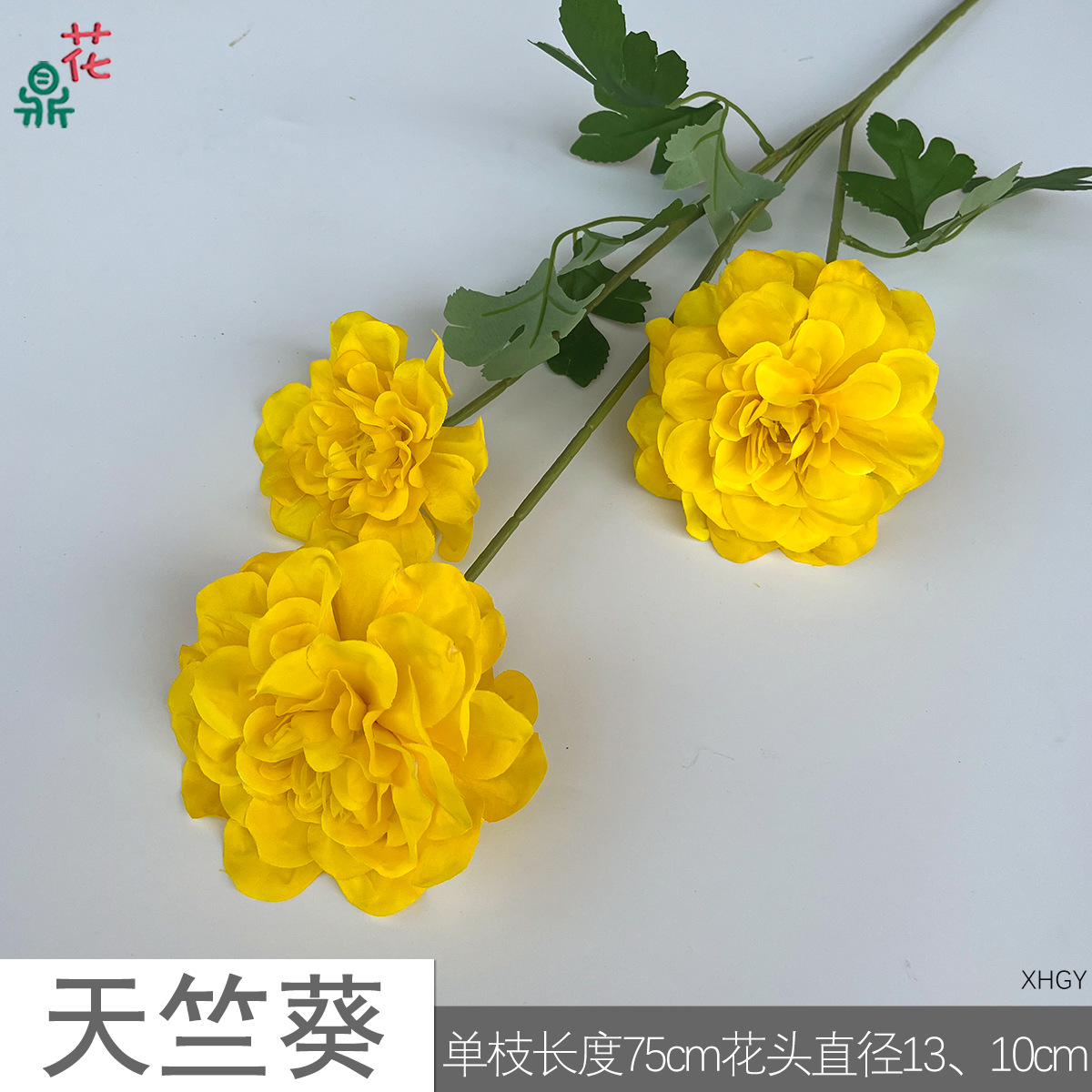 제라늄 XHGY 옐로우