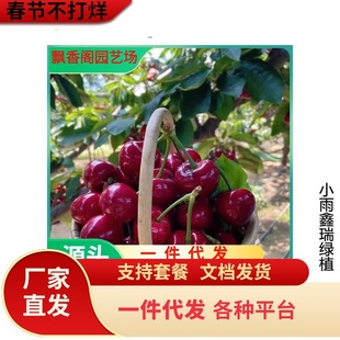 ������ľ���~��������Y�� ܇���Ӽ޽ә��Ҙ� ������� ���Ҙ�