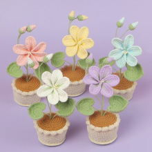 成品手工雪妃尔线材油桐盆栽花朵毛线编织花束节日礼物送老师同学