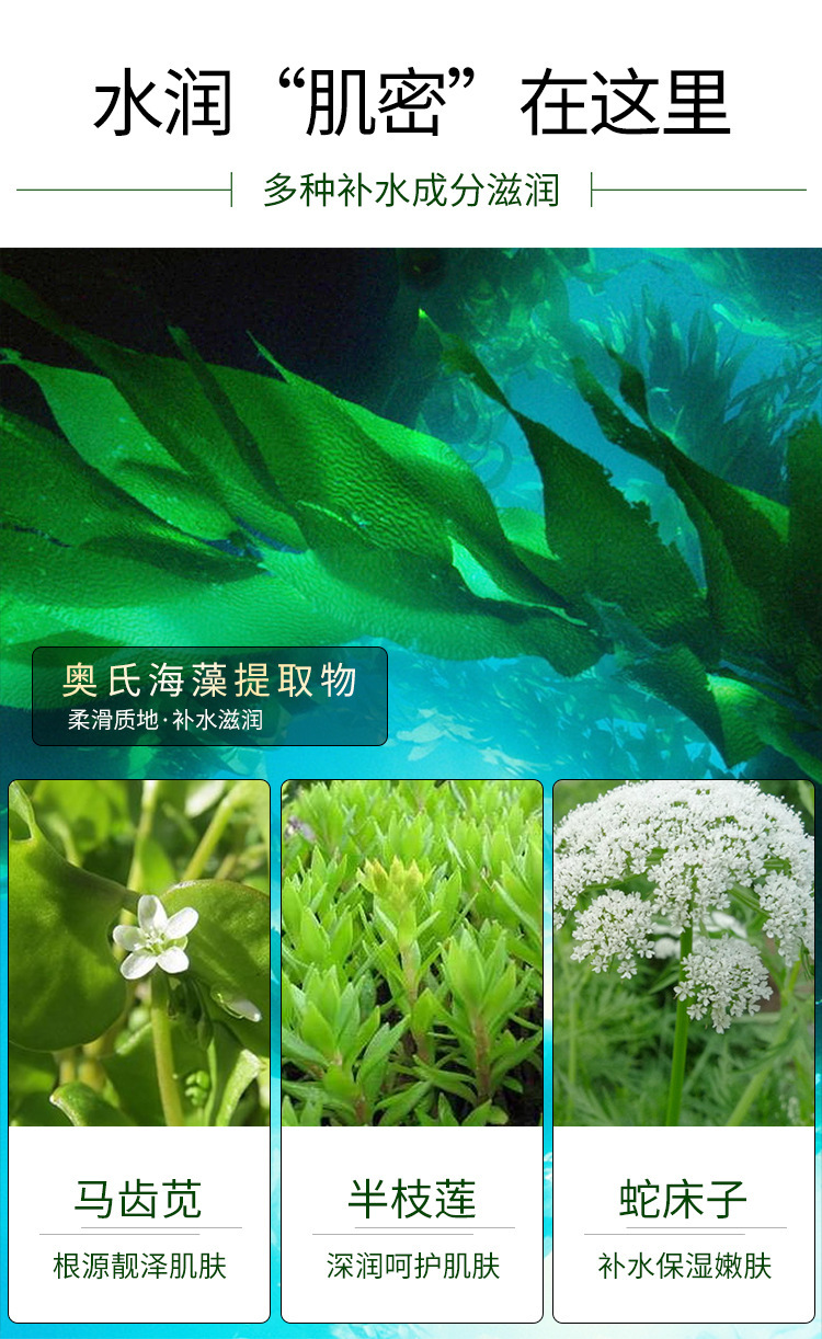 水润海藻补水眼贴膜750_06