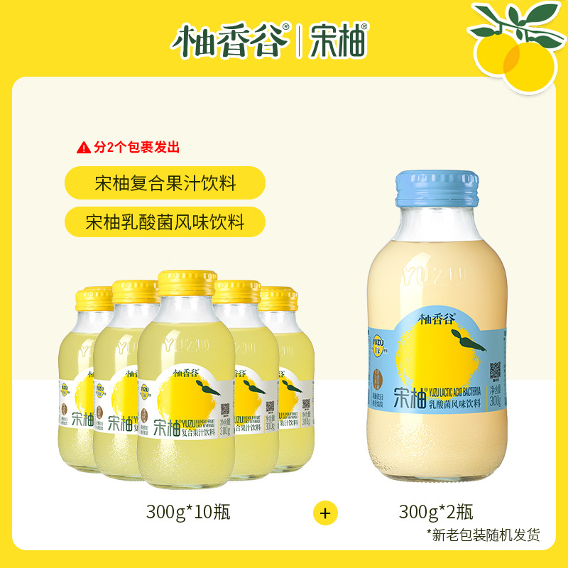 [6종세트*2박스] 송유즙 300g*10병 + 유산균맛음료 300g*2병