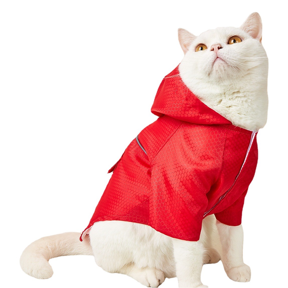 Impermeable para mascotas transfronterizo noche tira reflectante gato cachorro impermeable perro de peluche impermeable fábrica al por mayor