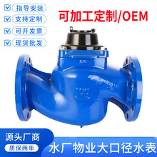 �ӹ����ƌ�������ʽˮ�����m��ڏ�ˮ�S��I��ֱʽ��ˮ��WS-80100