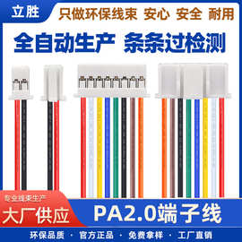 立胜线束厂批发PA2.0端子线2P 4P 6P电路板连接器LED灯接插连接线