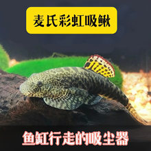 �^�p�~�������q�����q�����~��ˮ��ˮ����ױ�������坍�~�����~