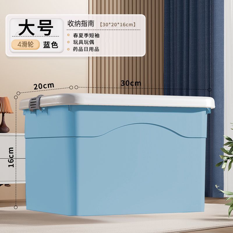 대형 [길이 30 폭 20 높이 16cm]