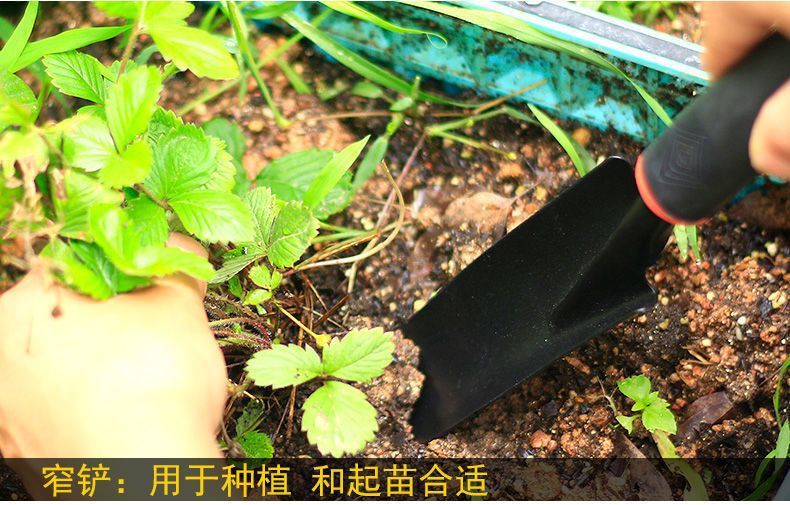 863644c9-7592-401a-9409-56baebd47ec3.jpe