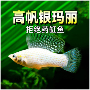 �߷��y����̥���~��ˮ������β�����Ꭷ�~�󷫽����^�p�~���w�~