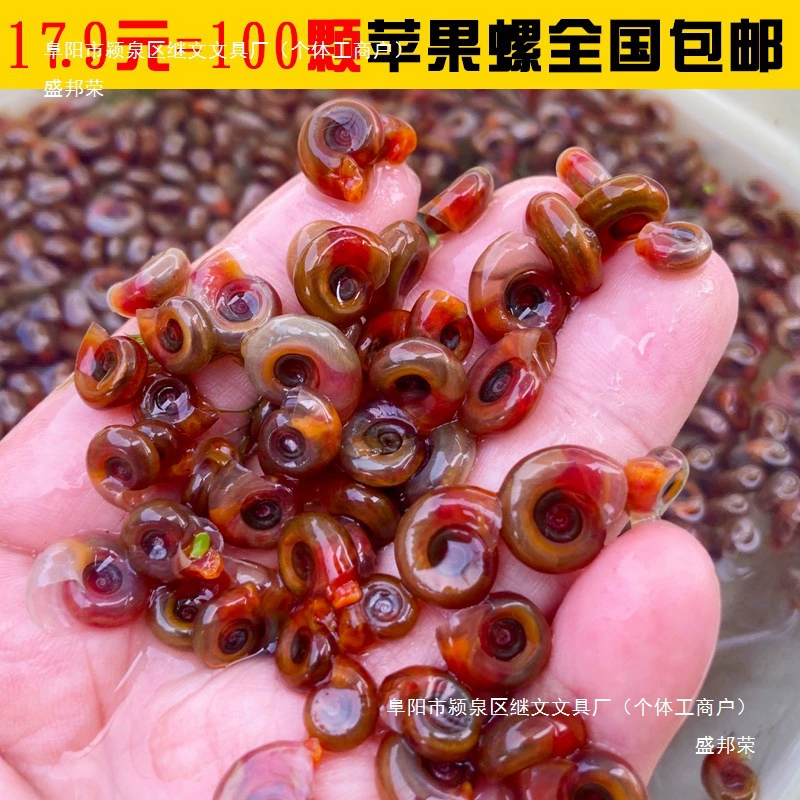 Shengbangrong красный яблочный инструмент для улиток, удаление улиточных водорослей, улитка, черепаха, голова собаки, натуральная живая наживка, аквариум, пакет для домашних животных