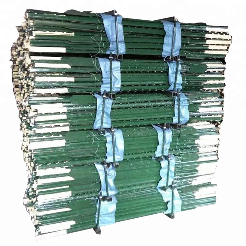 价格优惠绿色喷塑黄头T型疙瘩柱理计天津现货