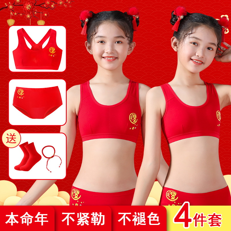 여아의 탄생년을 위한 빨간색 속옷 세트, 큰 아이들의 발달기용 뱀의 해 브라, 어린이 및 학생용 조끼