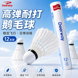 羽毛球拍;羽毛球;足球