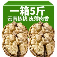 云南薄皮核桃收剥生核桃奶香熟核桃孕妇坚果零食核桃批发5斤