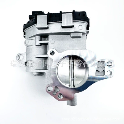 Citroen C3 Drossel