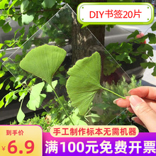 树叶标本膜5寸冷裱膜照片书签塑封防水护卡Ａ４DIY纯手工制作材料