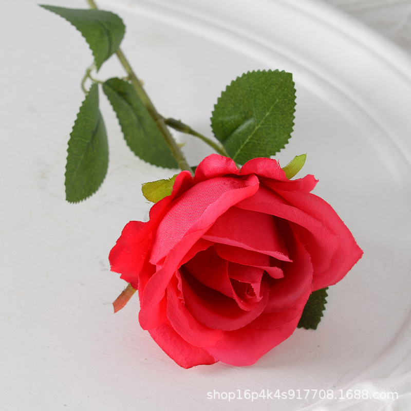 Freud (tela de seda) 7cm