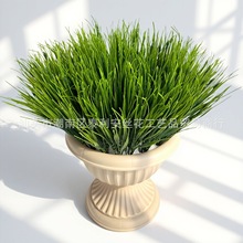 ���R�d���洺�ݾGֲ�߲�С����ˮ����@�b����Ը��๤��ֲ�����l