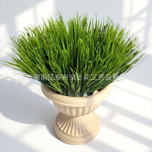 ���R�d���洺�ݾGֲ�߲�С����ˮ����@�b����Ը��๤��ֲ�����l