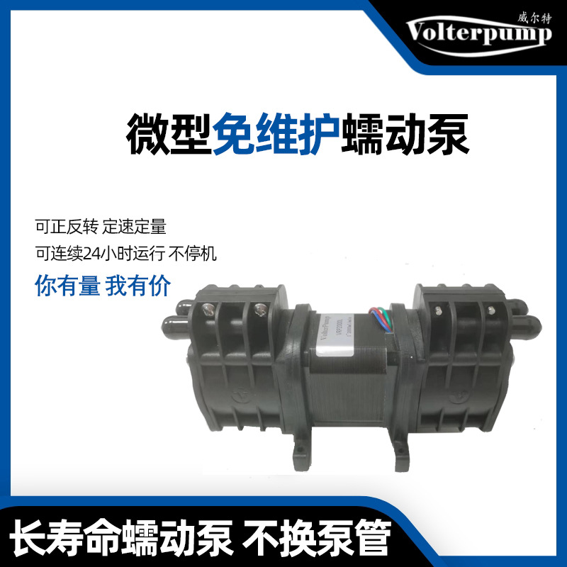 微量加药泵实验室蠕动泵耐酸碱可过杂质化学加液流量泵抽液泵泵头