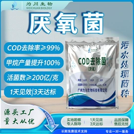 其他水处理;空气处理化学;杀菌灭藻剂