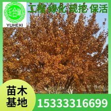 ����Ԫ���� Ԫ�����|��Ԫ���� ����Ԫ������Ǘ� ������Ǘ�