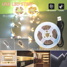 跨境热销USB供电灯带5V 2835LED低压柔性电视背景装饰画亮化装饰