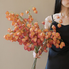 逼真干花栾树灯笼果假花仿真花摆设装饰高档轻奢仿生花束花艺摆件
