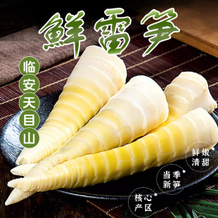 �R���׹S���r��S���ùS��Ŀɽ����S�r�S����ʳ����֭�S���r�S