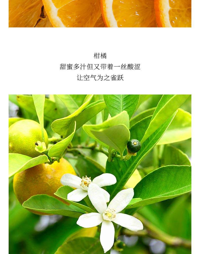 详情_07
