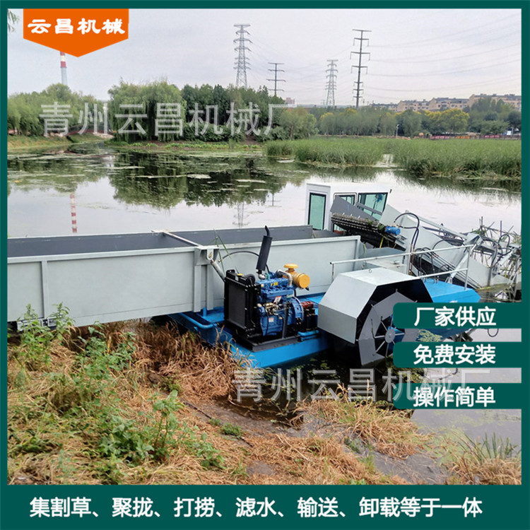 水面水草垃圾打捞机械 河道水白菜水草收割除草船 河道清草保洁船