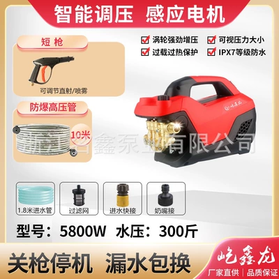 Portable household cleaning machine: Car washing machine - 5800w-220v-50hz-flagship-model-10m-water-outlet-short-gun