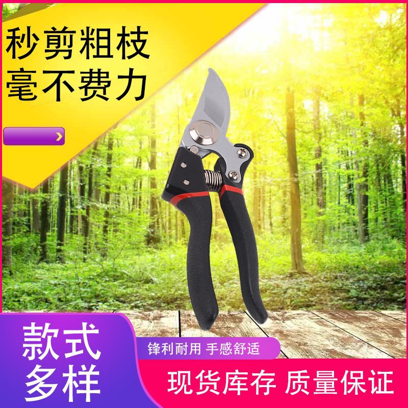 现货供应修枝剪刀果枝剪 果树修剪树枝剪刀剪花枝园艺剪刀粗枝剪
