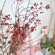 ɽ�w���������Nޱ����Ȼ�ɻ��ɹ��Ә�֦ɽ�w���Ҿ�ܛ�b�廨��⻨