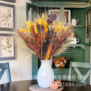 Explosions diy small reed dried flower bouquet pampas grass home decoration ornaments cross-border Valentine's Day New Year gift