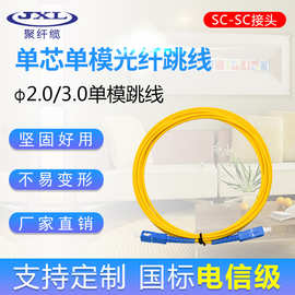 电信级SC-SC光纤跳线3米 单模单芯光纤监控尾纤 机房布线光纤跳线